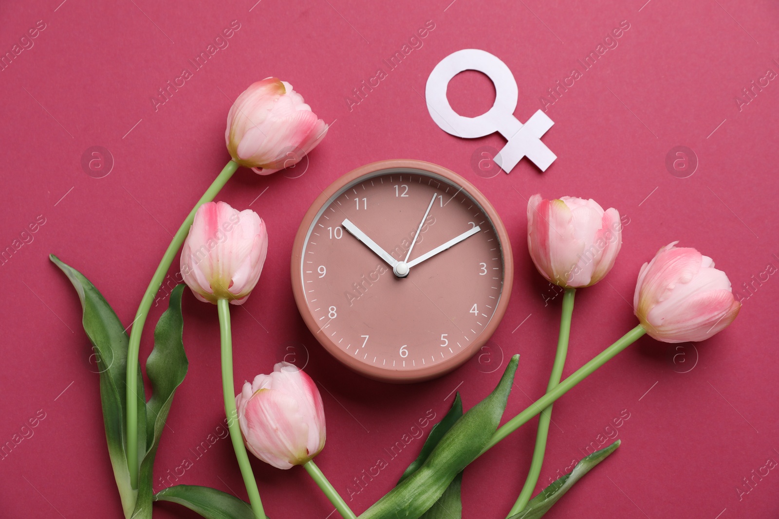Photo of Menopause. Female gender symbol, alarm clock and tulips on crimson background, flat lay