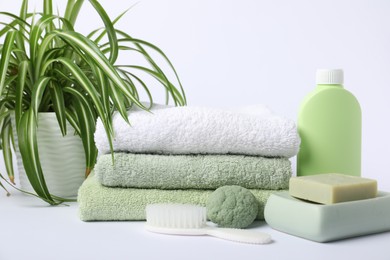 Photo of Stack of fresh terry towels, cosmetic products, brush and green plant on white background