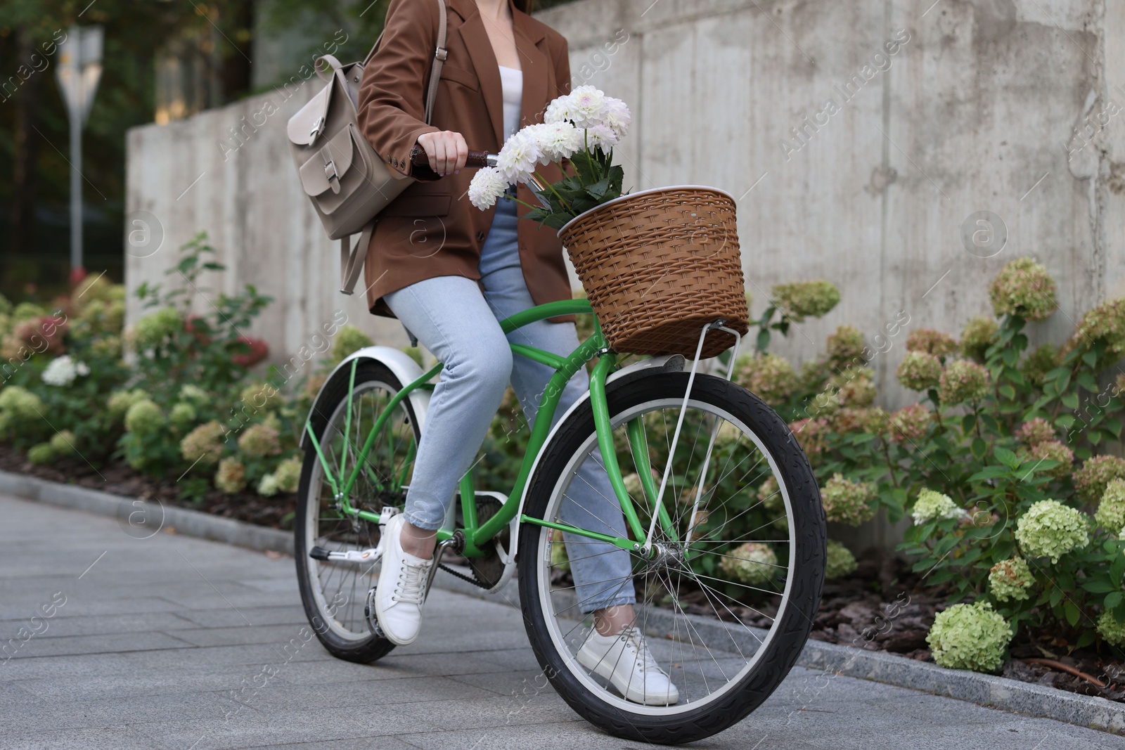 Photo of Woman riding bicycle with flowers in basket on city street, closeup