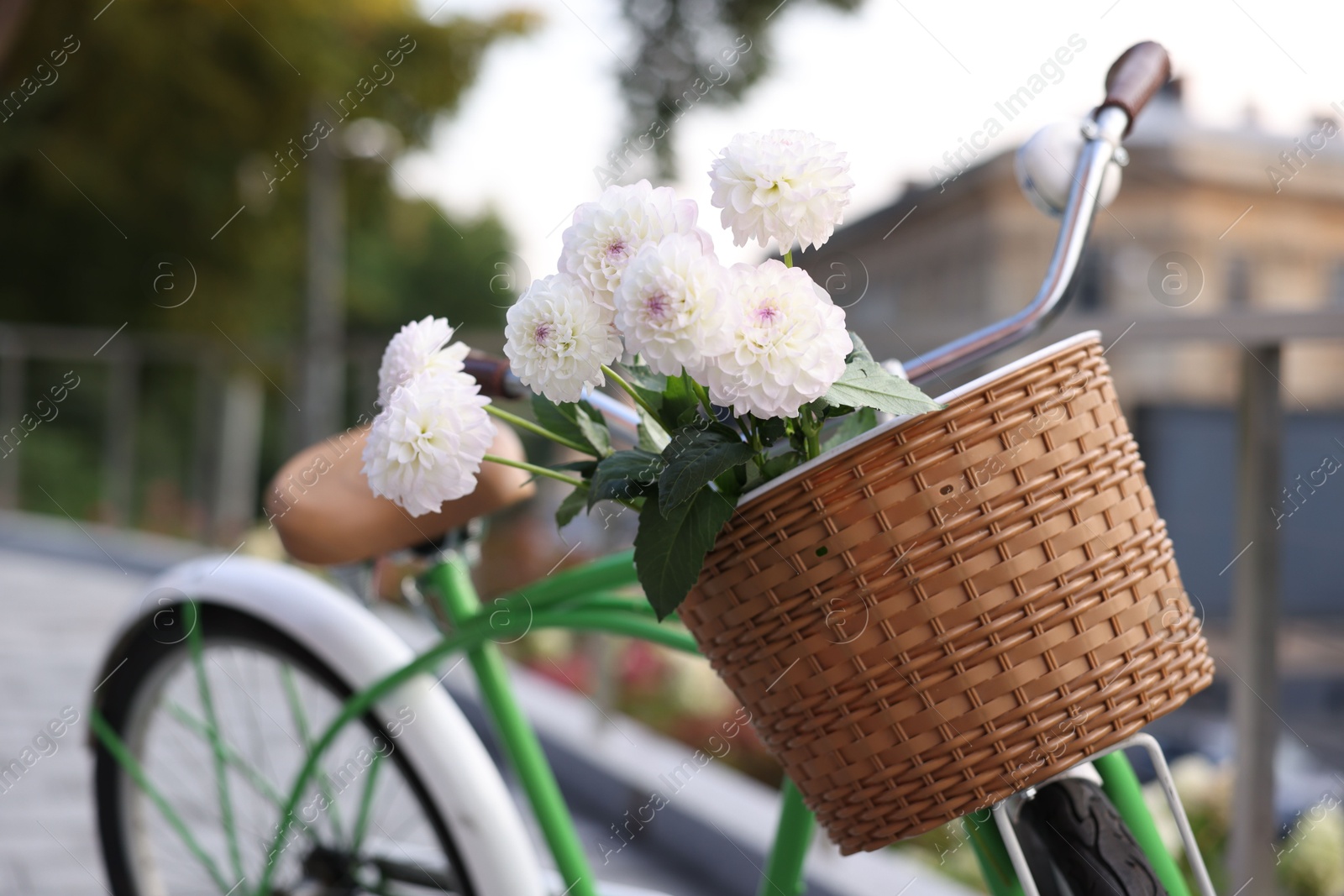 Photo of Bicycle with beautiful flowers in basket on city street, closeup