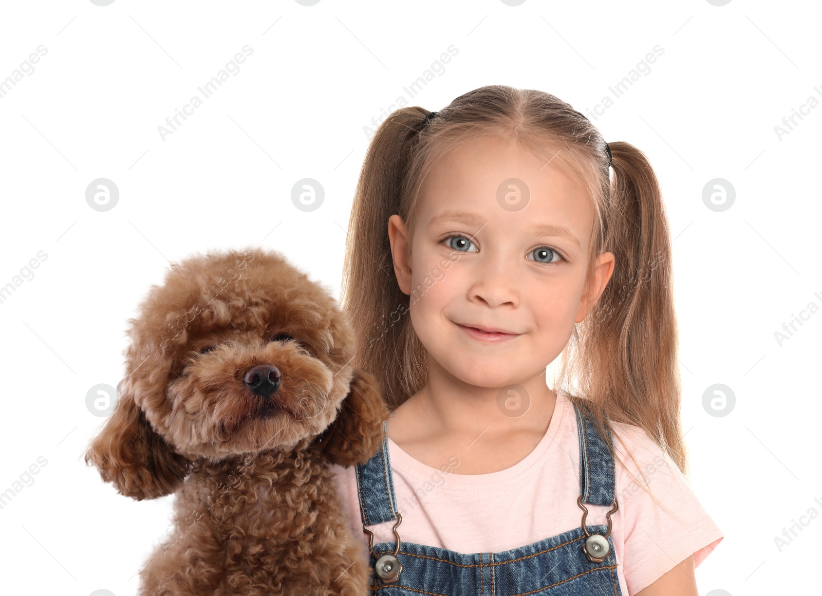 Image of Cute child and fluffy dog on white background. First pet