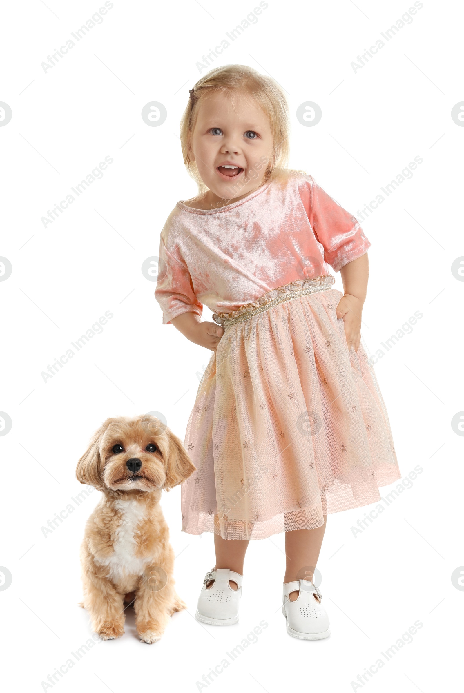 Image of Cute child and dog on white background. First pet