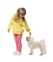 Image of Cute child and fluffy dog on white background. First pet