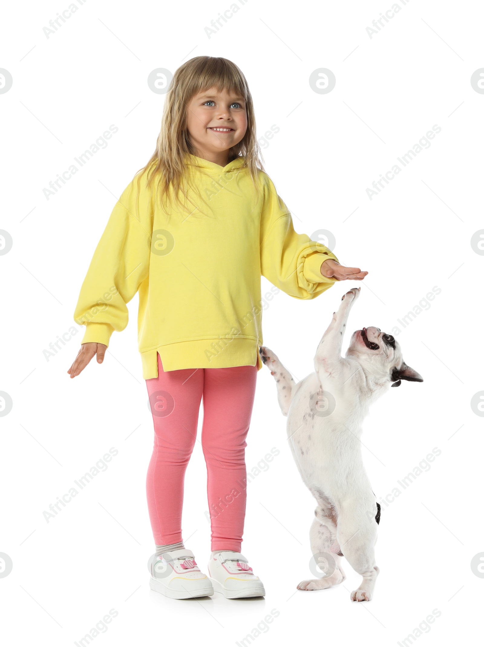 Image of Cute child and playful dog on white background. First pet