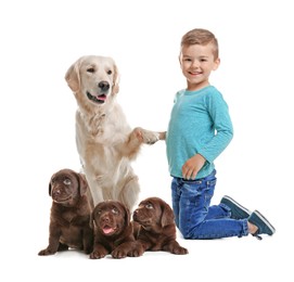 Image of Cute child and dogs on white background. First pet