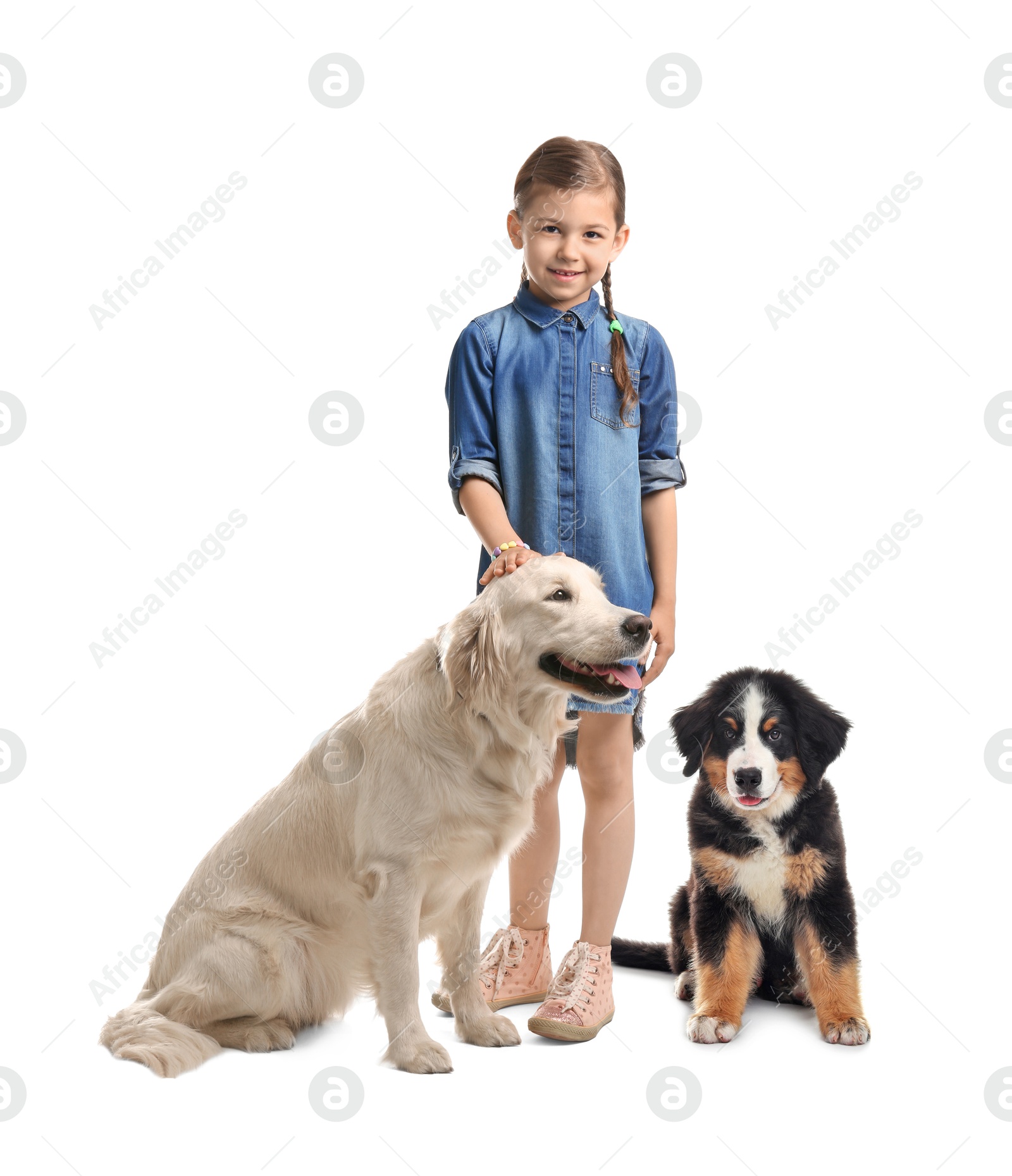 Image of Cute child and dogs on white background. First pet