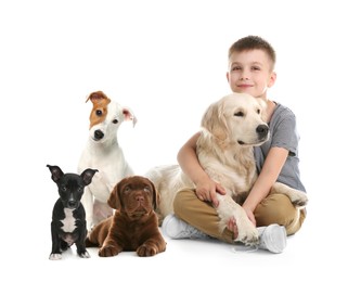 Image of Cute child and dogs on white background. First pet