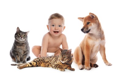 Image of Cute child, dog and cats on white background. First pet