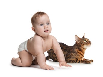 Image of Cute child and cat on white background. First pet