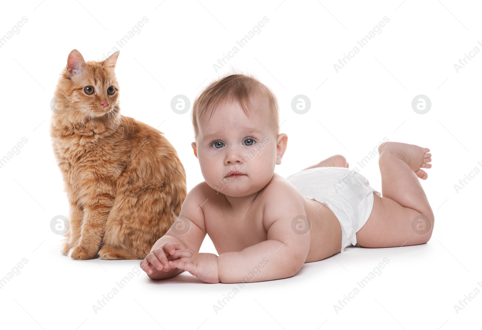 Image of Cute child and cat on white background. First pet