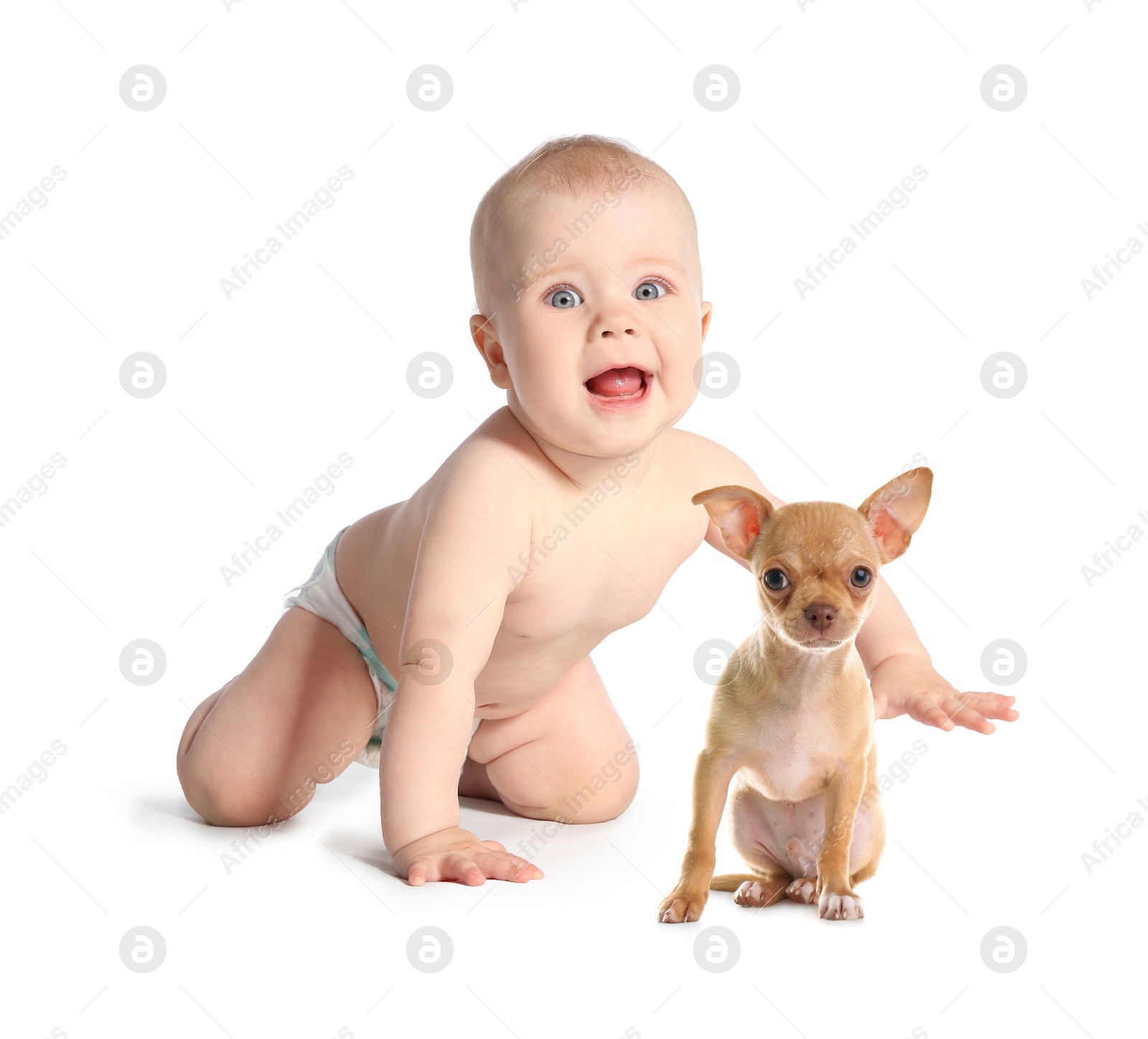 Image of Cute child and dog on white background. First pet