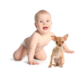 Image of Cute child and dog on white background. First pet