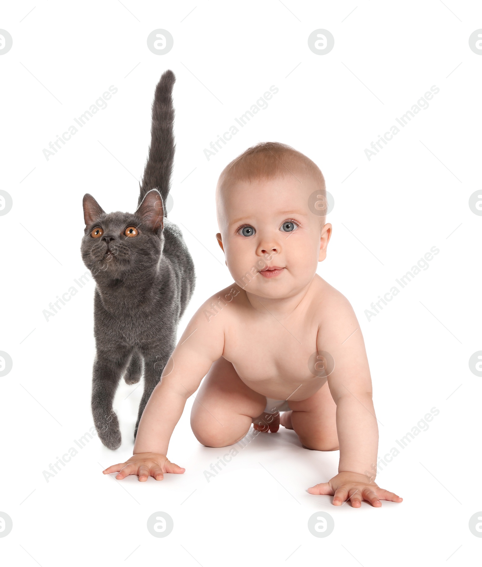 Image of Cute child and cat on white background. First pet