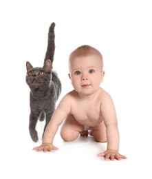 Image of Cute child and cat on white background. First pet