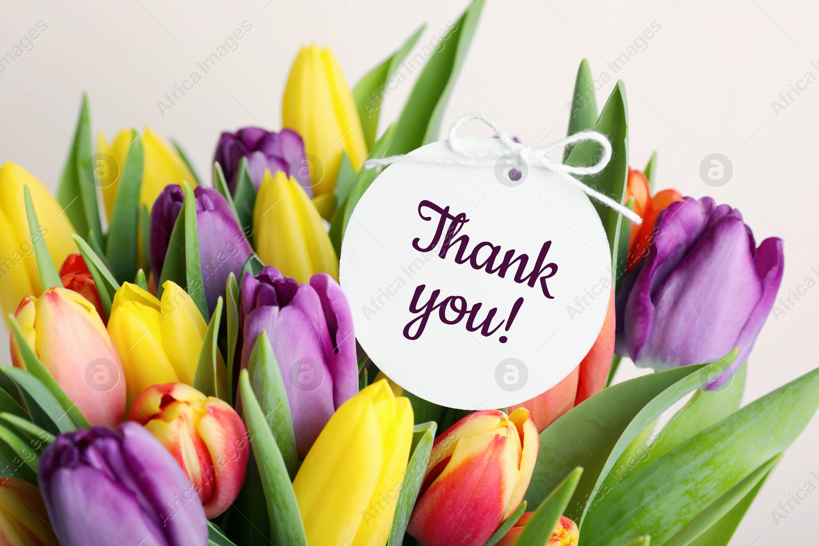 Image of Thank tag and bouquet of tulips against white background