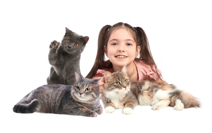 Image of Cute child and cats on white background. First pet
