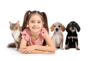 Image of Cute child, cat and dogs on white background. First pet