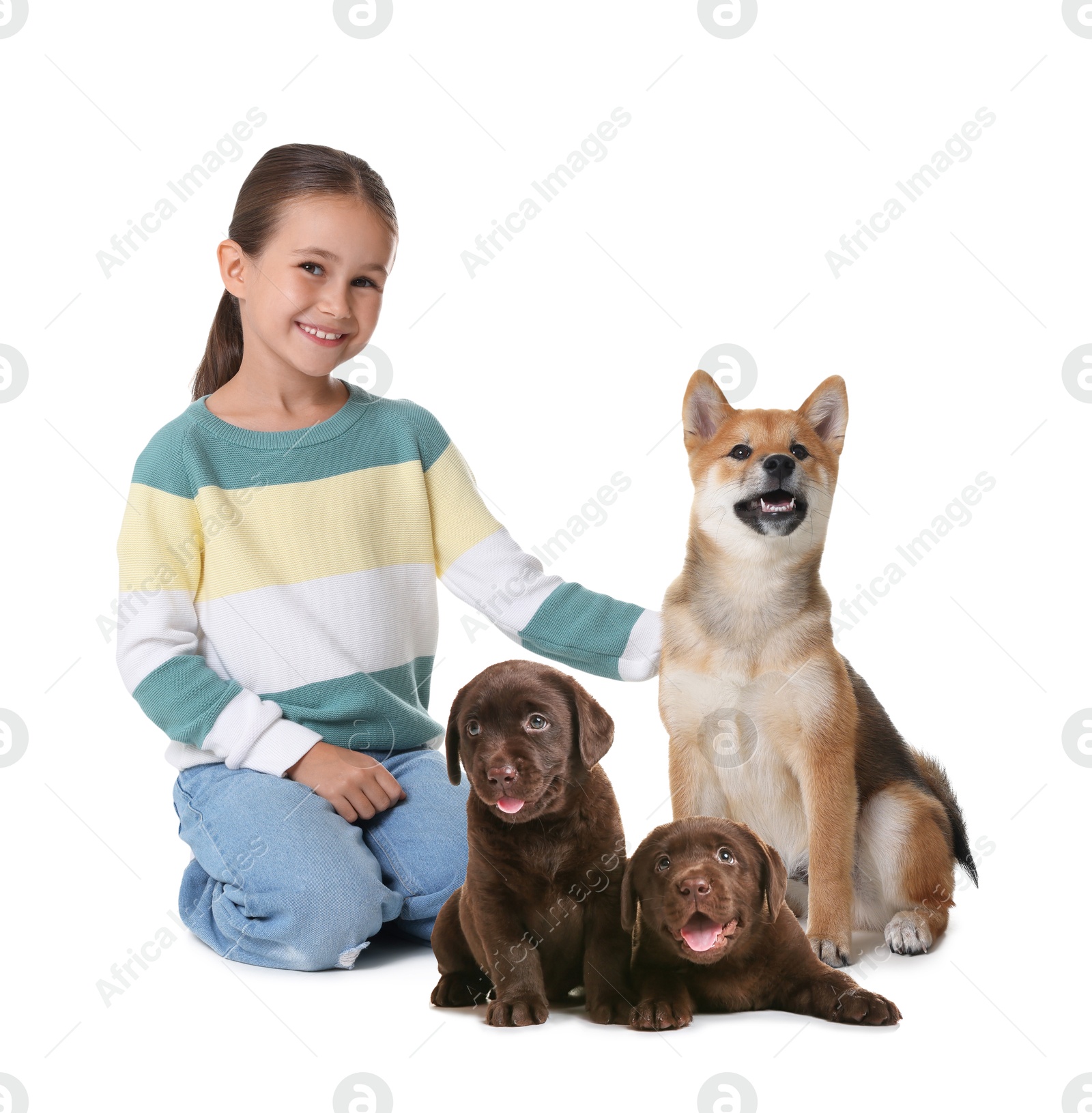 Image of Cute child and dogs on white background. First pet