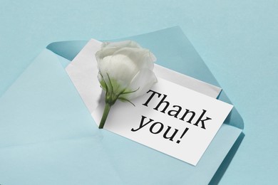 Image of Thank card and flower in envelope on light blue background, closeup