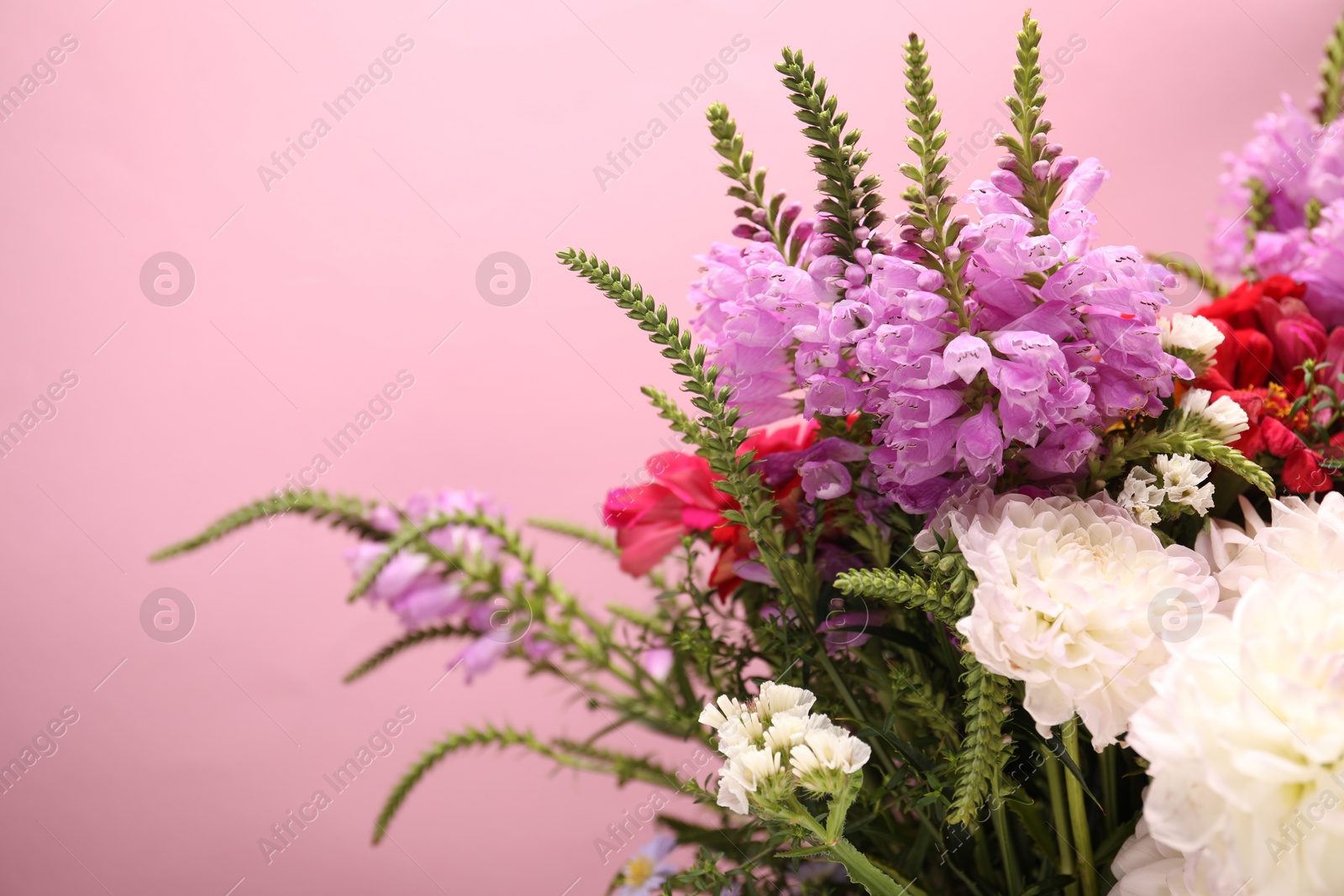 Photo of Many beautiful flowers on pink background, closeup. Space for text