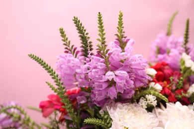 Photo of Many beautiful flowers on pink background, closeup