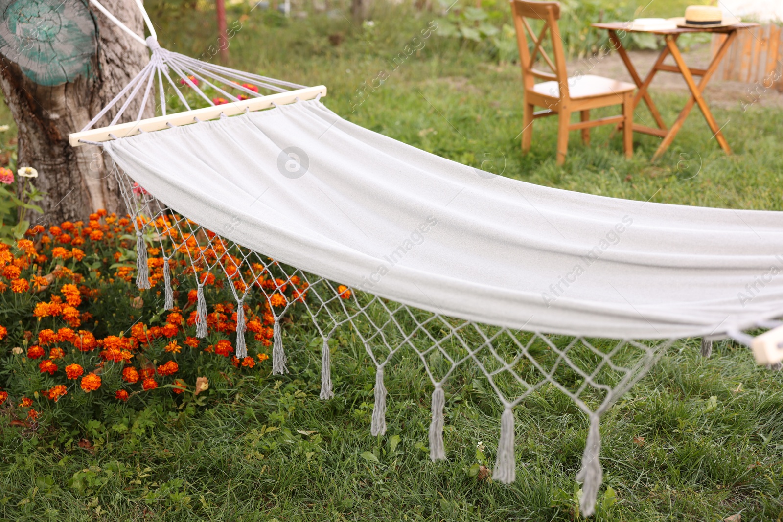 Photo of Empty comfortable white hammock in garden, closeup