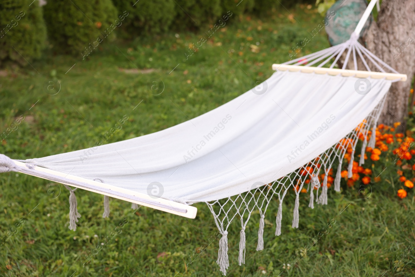Photo of Empty comfortable white hammock in garden, closeup