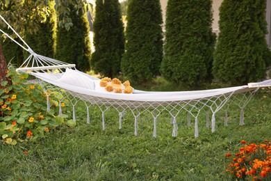 Photo of Comfortable white hammock with pillows in garden