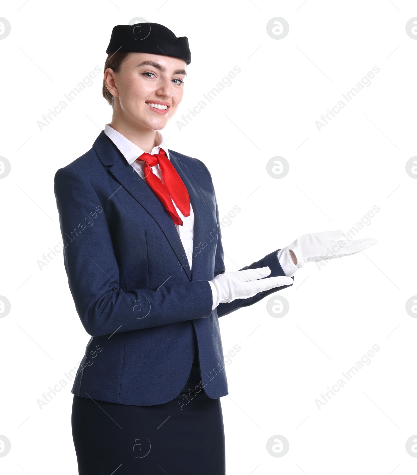 Photo of Charming stewardess showing something on white background