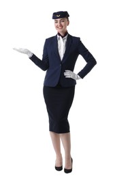 Photo of Beautiful stewardess showing something on white background