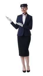 Photo of Beautiful stewardess showing something on white background