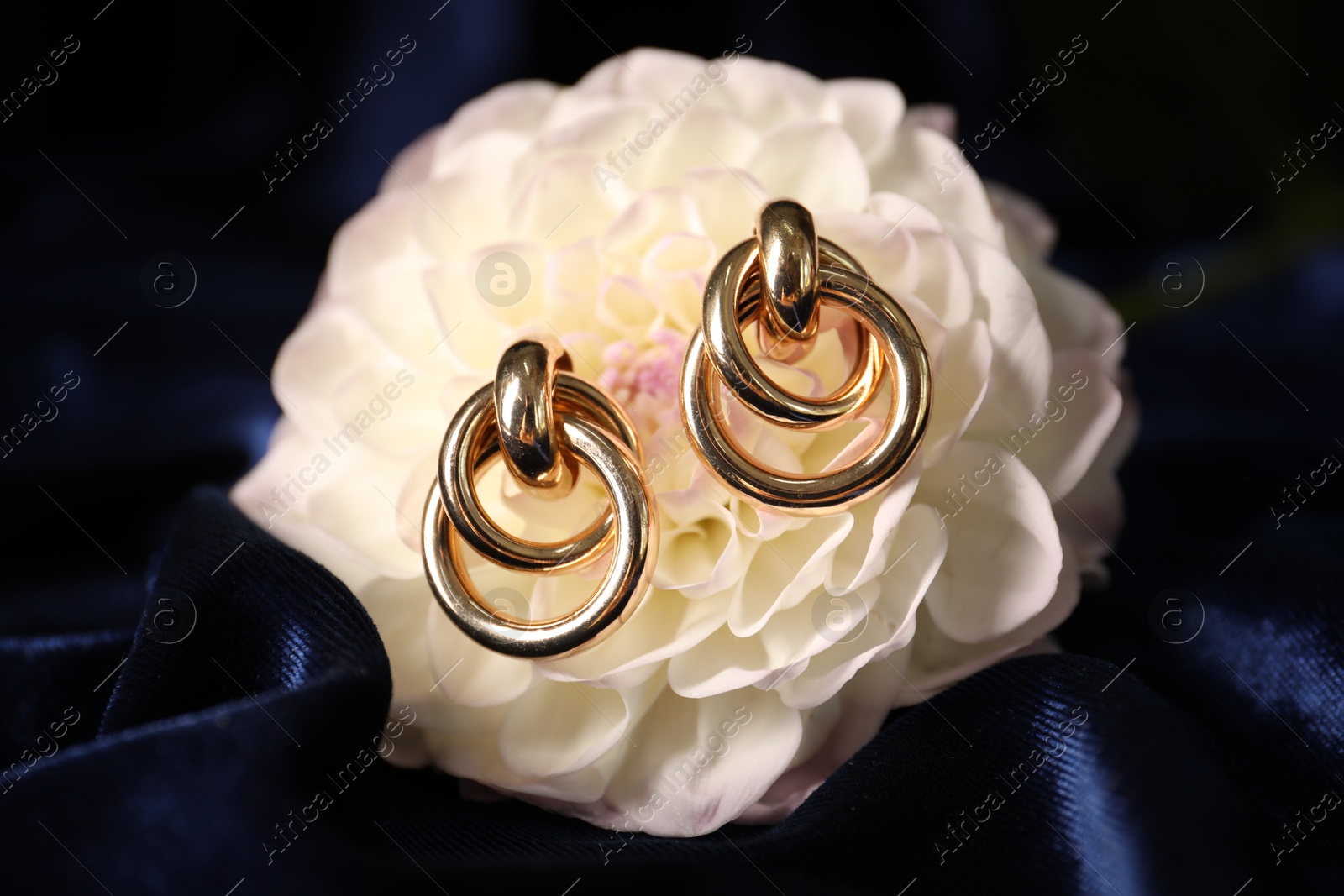 Photo of Stylish gold earrings and flower on blue silk cloth, closeup