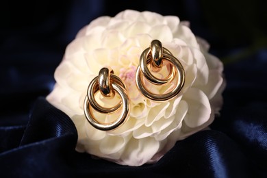Photo of Stylish gold earrings and flower on blue silk cloth, closeup