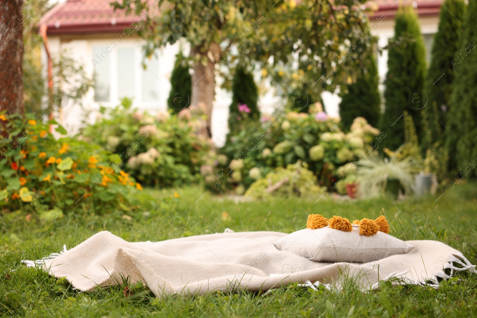 Photo of Blanket and pillow on green grass in garden