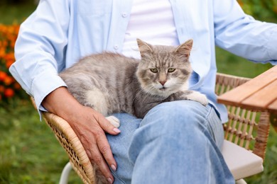 Photo of Senior woman with cute cat outdoors, closeup