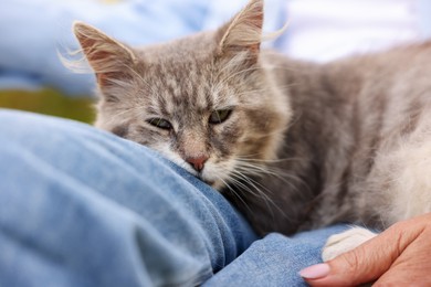 Photo of Senior woman with cute cat outdoors, closeup