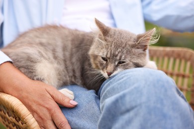 Photo of Senior woman with cute cat outdoors, closeup