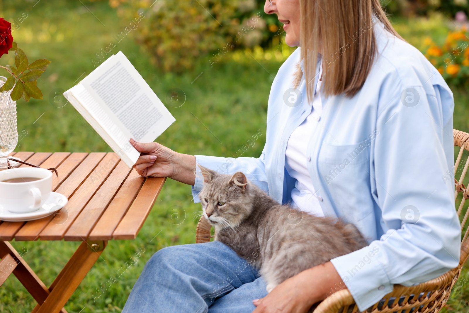 Photo of Senior woman with cat reading book at wooden table in garden, closeup