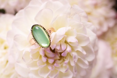 Photo of Stylish gold ring with gemstone and beautiful flowers, closeup