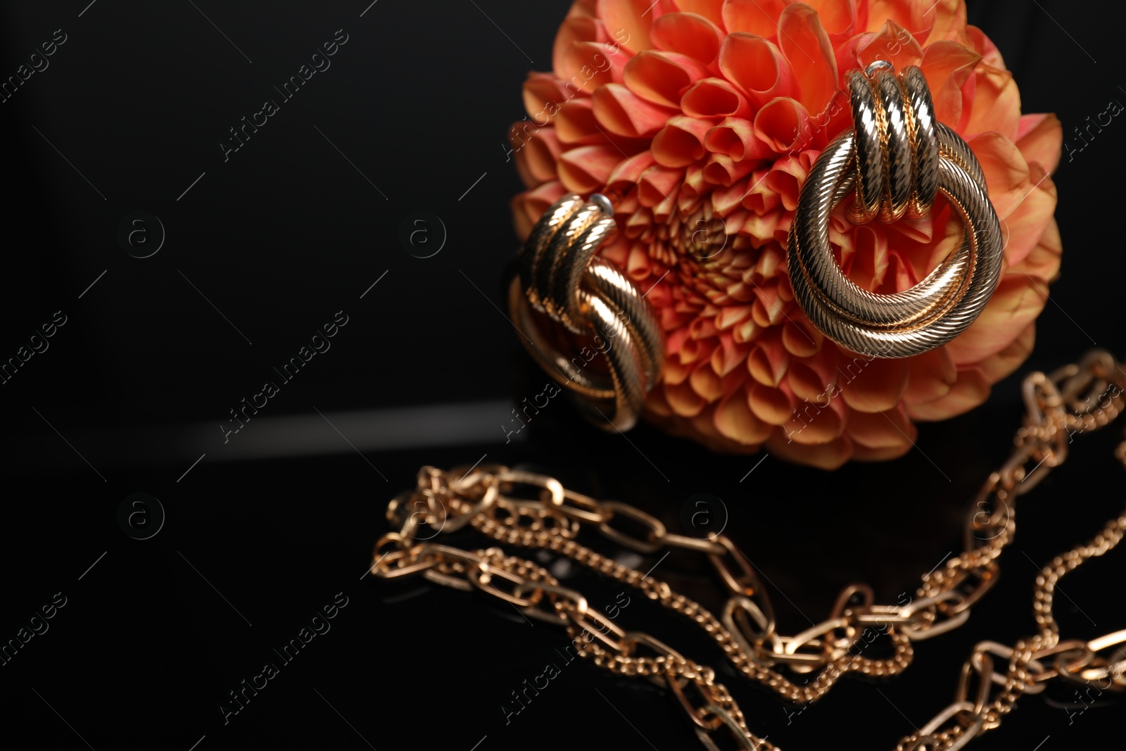 Photo of Stylish gold earrings, necklace and beautiful flower bud against black background, closeup. Space for text