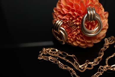 Photo of Stylish gold earrings, necklace and beautiful flower bud against black background, closeup. Space for text