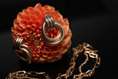 Photo of Stylish gold earrings, necklace and beautiful flower bud against black background, closeup