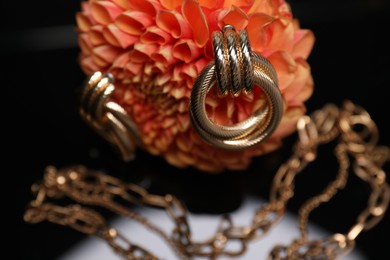 Photo of Stylish gold earrings, necklace and beautiful flower bud against black background, closeup