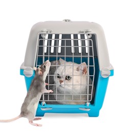 Image of Cute cat in pet carrier and rat on white background