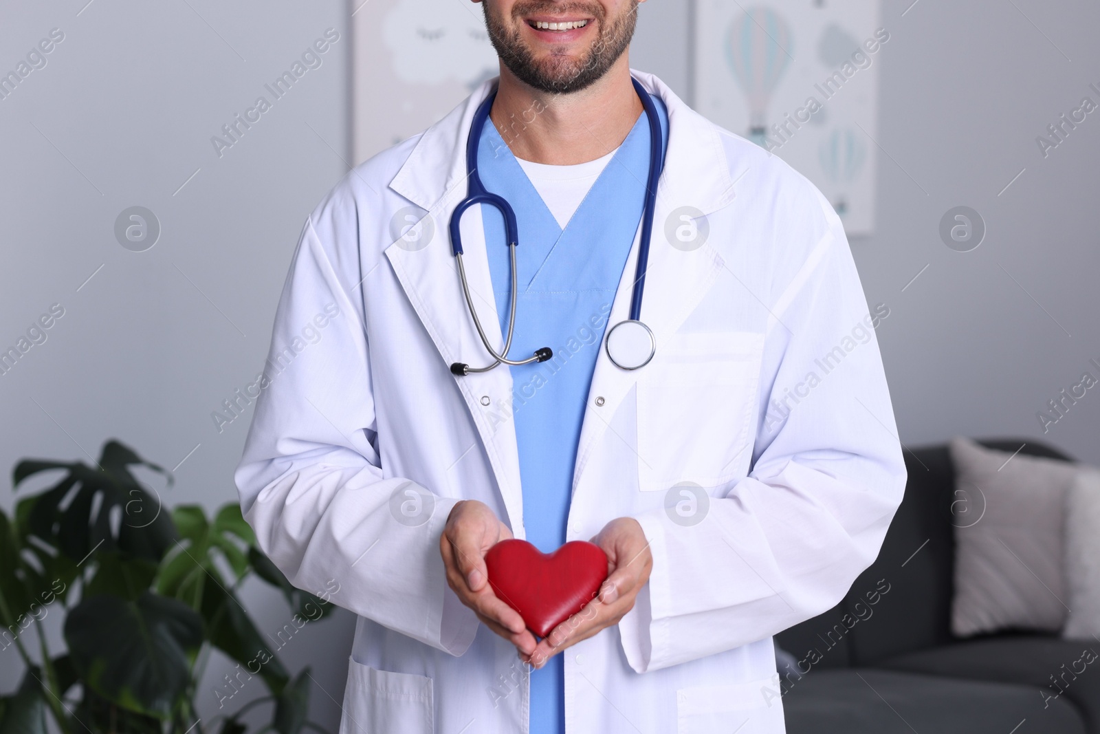 Photo of Pediatrician with heart model in hospital, closeup