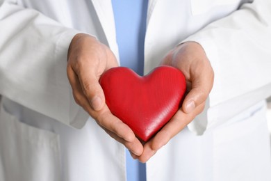 Photo of Professional pediatrician with heart model, closeup view