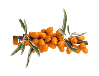 Photo of Fresh sea buckthorn berries with green leaves isolated on white