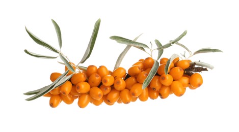 Photo of Fresh sea buckthorn berries with green leaves isolated on white