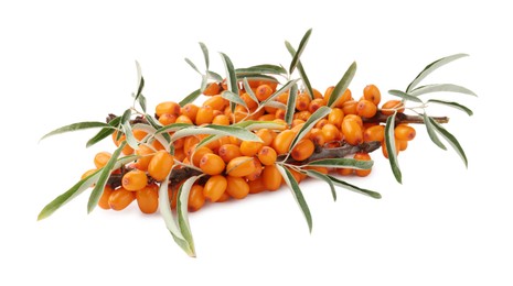 Photo of Fresh sea buckthorn berries with green leaves isolated on white