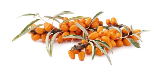 Photo of Fresh sea buckthorn berries with green leaves isolated on white